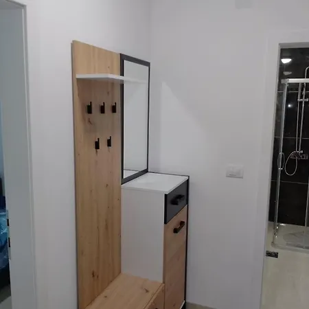 Petrovic 3 Apartment Soko Banja