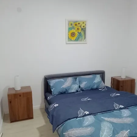 Apartment Petrovic 3 Soko Banja