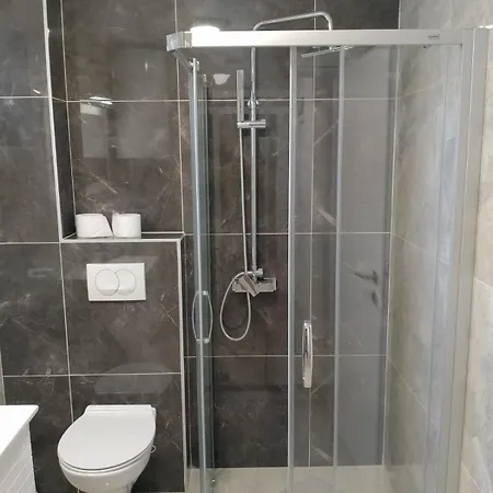 Apartment Petrovic 3 Soko Banja