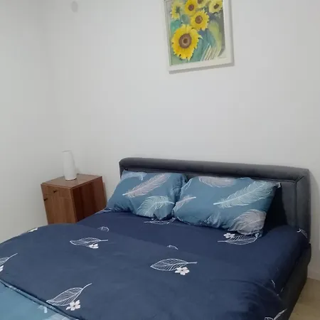 Apartment Petrovic 3