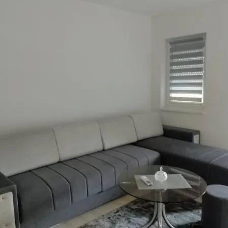 Apartment Petrovic 3 *