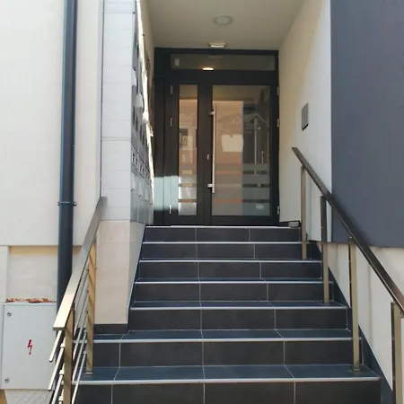 Apartment Petrovic 3 Soko Banja