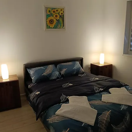 Apartment Petrovic 3