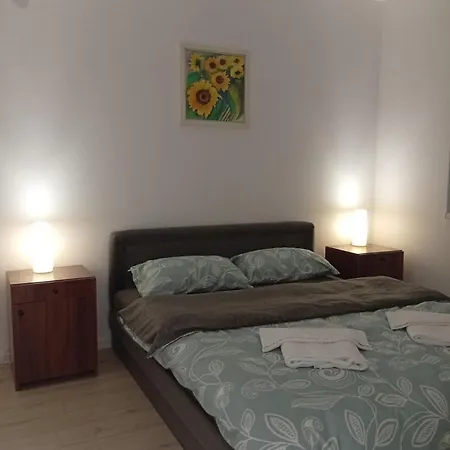 Apartment Petrovic 3